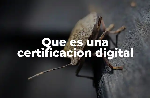 Que es una Certificacion Digital 2 El papel de las certificaciones digitales en la ciberseguridad