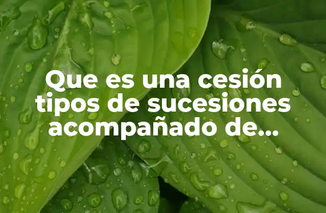 Tipos de sucesiones y su importancia en el derecho civil