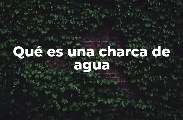 Características de las charcas de agua