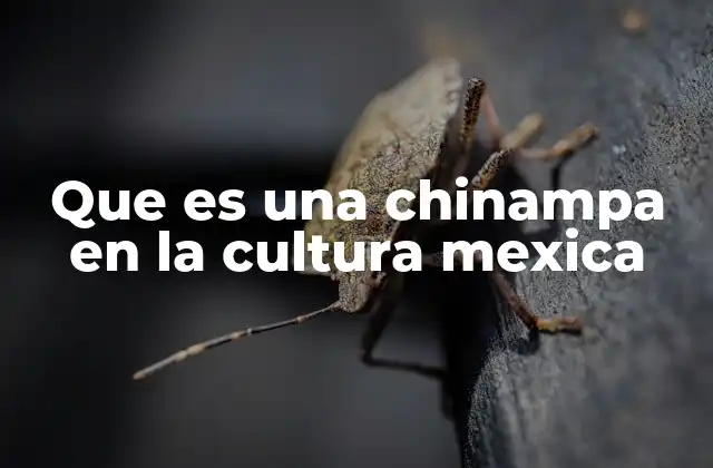 Que es una Chinampa en la Cultura Mexica