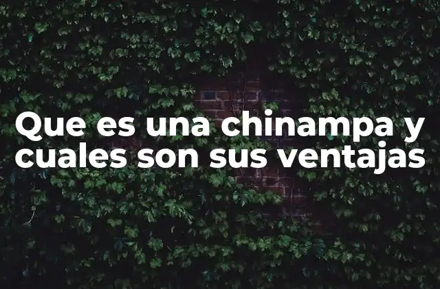 Que es una Chinampa y Cuales Son Sus Ventajas