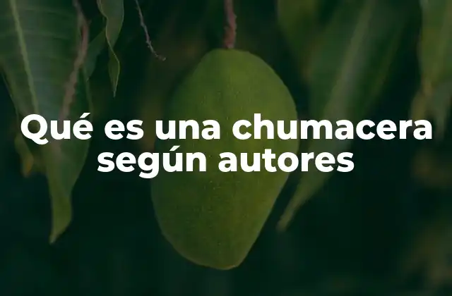 Qué es una Chumacera según Autores