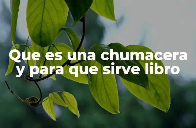 Que es una Chumacera y para que Sirve Libro