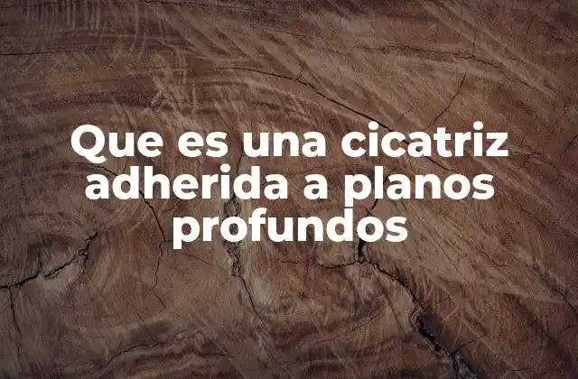 Que es una Cicatriz Adherida a Planos Profundos