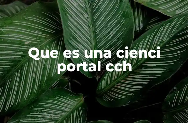 Que es una Cienci Portal Cch