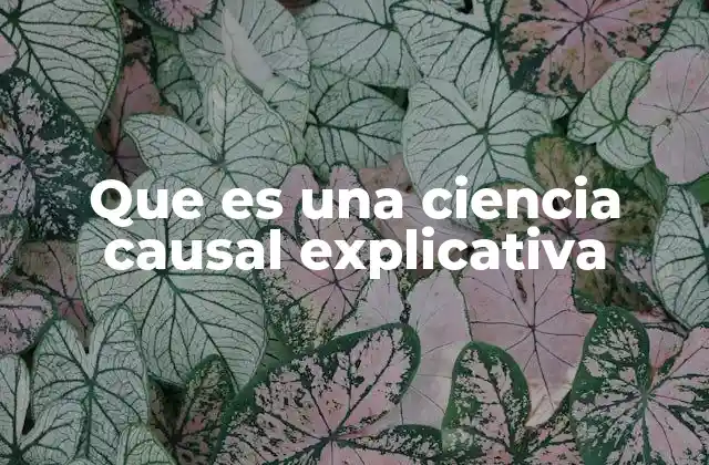 Que es una Ciencia Causal Explicativa