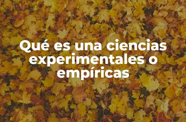 Qué es una Ciencias Experimentales o Empíricas 2 El método científico y su papel en las ciencias experimentales