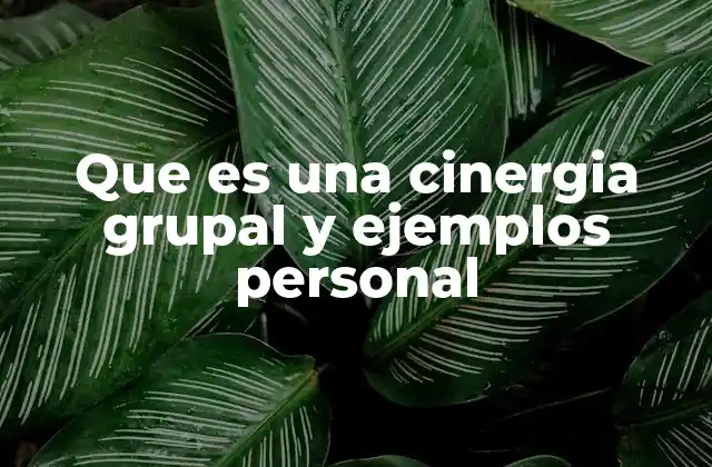 Que es una Cinergia Grupal y Ejemplos Personal