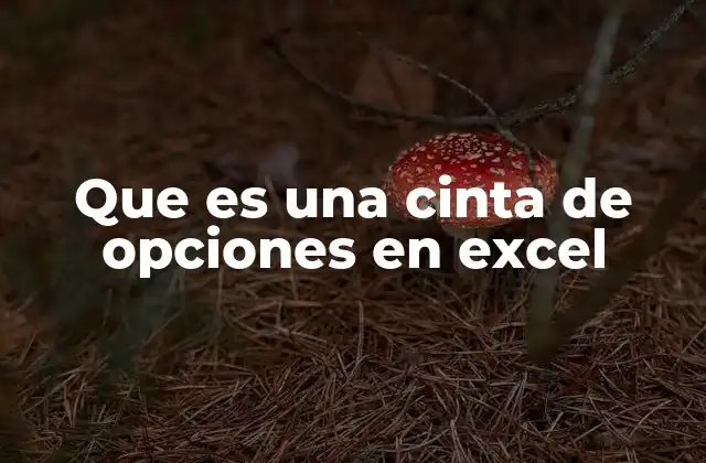 Que es una Cinta de Opciones en Excel