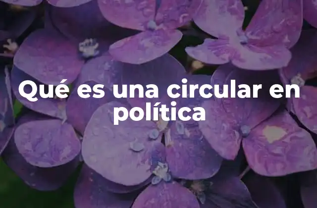 Qué es una Circular en Política