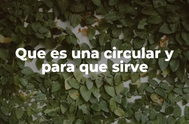 Que es una Circular y para que Sirve