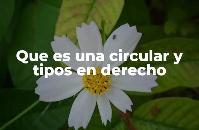 Que es una Circular y Tipos en Derecho