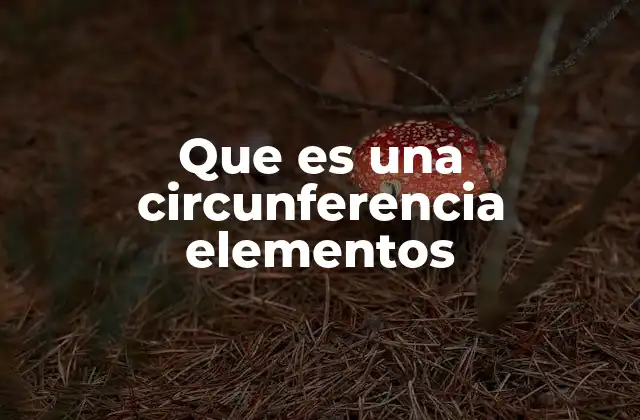 Que es una Circunferencia Elementos