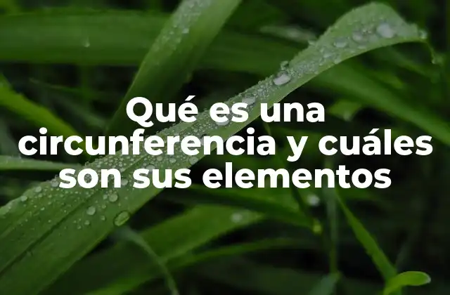Qué es una Circunferencia y Cuáles Son Sus Elementos