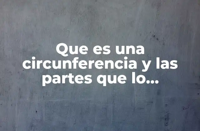 Que es una Circunferencia y las Partes que Lo Conforman
