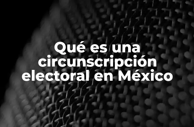 Qué es una Circunscripción Electoral en México