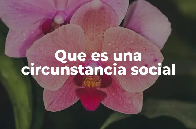 Que es una Circunstancia Social 2 Cómo las circunstancias sociales moldean la identidad personal