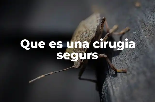 Que es una Cirugia Segurs