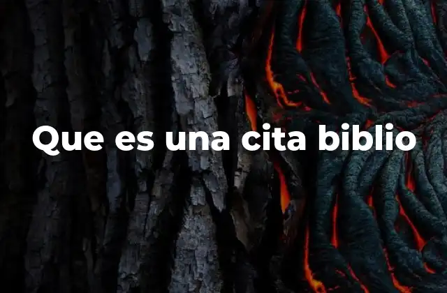 Que es una Cita Biblio