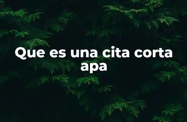 Que es una Cita Corta Apa