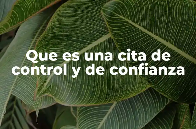 Que es una Cita de Control y de Confianza