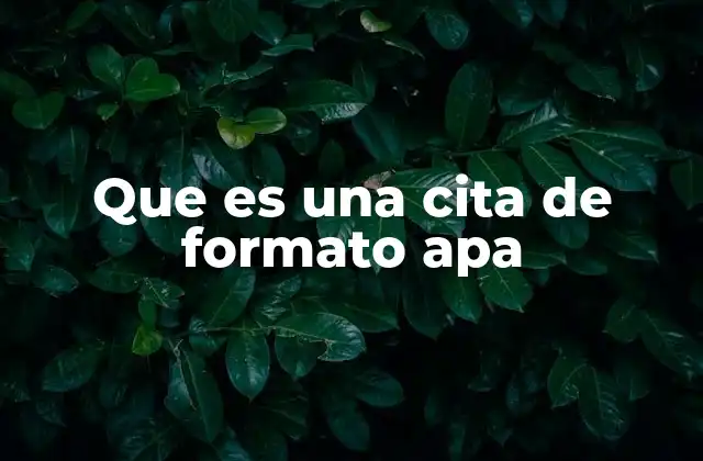 Que es una Cita de Formato Apa