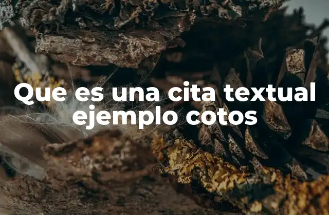Que es una Cita Textual Ejemplo Cotos