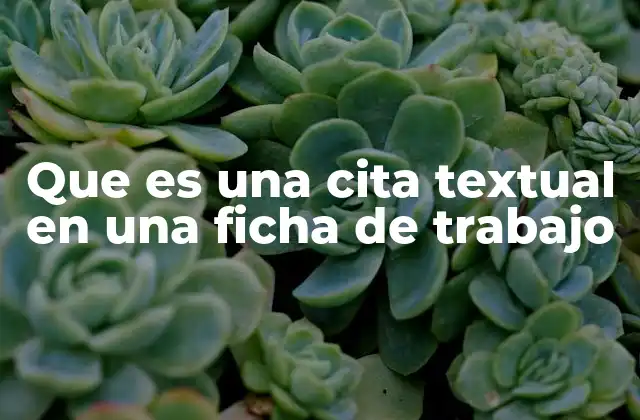 Cómo las citas textuales enriquecen la calidad de una ficha de trabajo