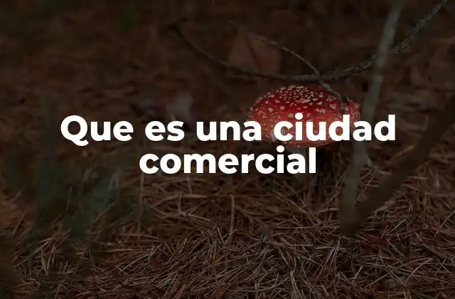 Que es una Ciudad Comercial