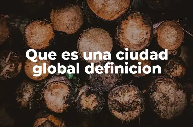 Que es una Ciudad Global Definicion