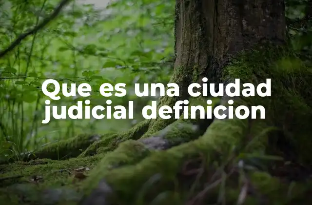 Que es una Ciudad Judicial Definicion