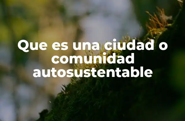 Que es una Ciudad o Comunidad Autosustentable