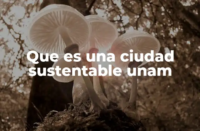 El rol de las universidades en la transformación urbana