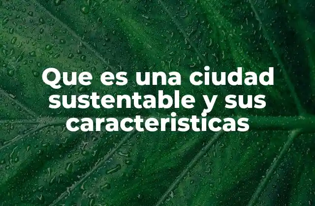 Que es una Ciudad Sustentable y Sus Caracteristicas