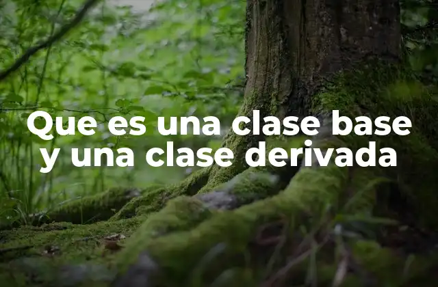 Que es una Clase Base y una Clase Derivada