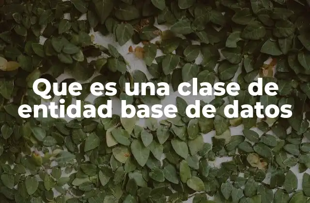 Que es una Clase de Entidad Base de Datos