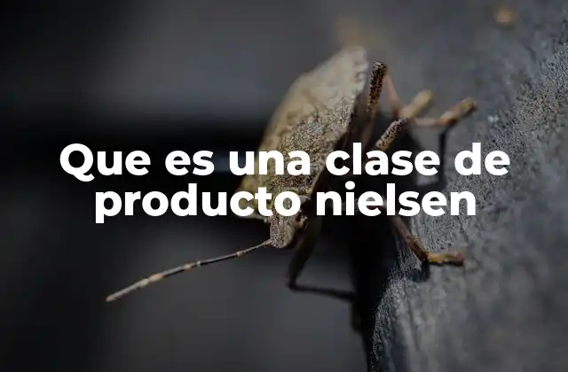 Que es una Clase de Producto Nielsen