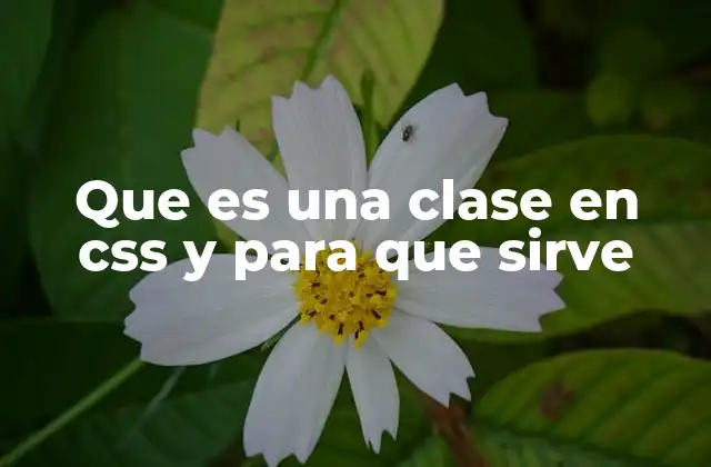 Que es una Clase en Css y para que Sirve