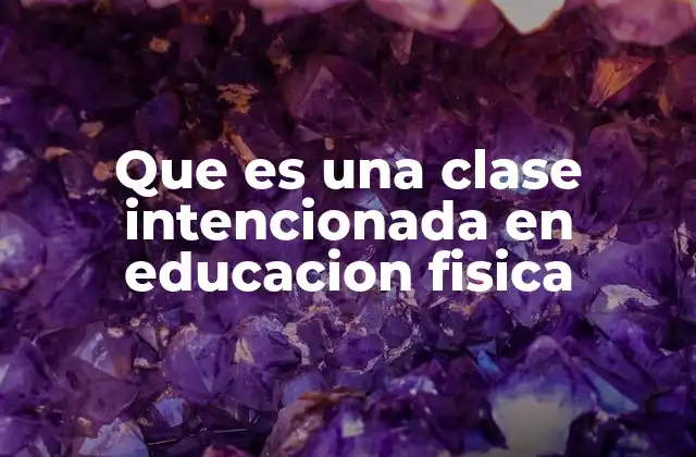 Que es una Clase Intencionada en Educacion Fisica