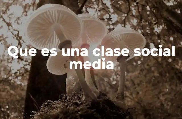 Que es una Clase Social Media