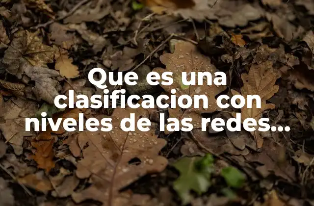 Que es una Clasificacion con Niveles de las Redes Sociales