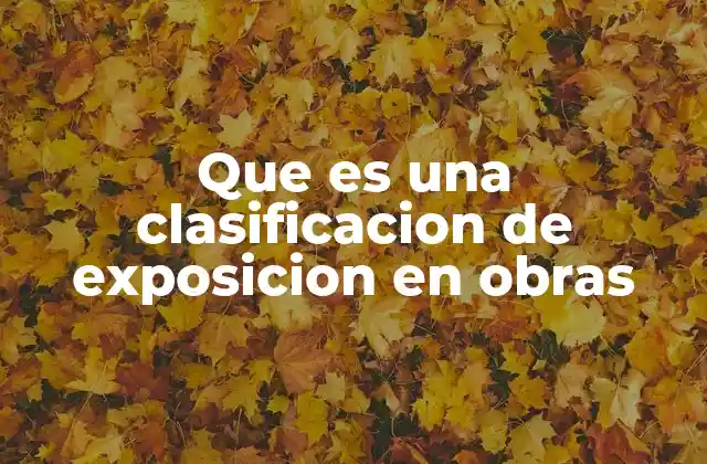 Que es una Clasificacion de Exposicion en Obras