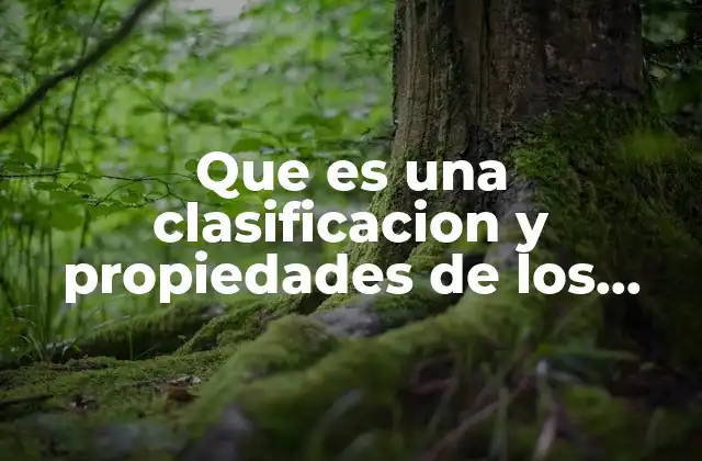 Que es una Clasificacion y Propiedades de los Numeros