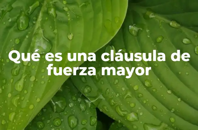 Qué es una Cláusula de Fuerza Mayor