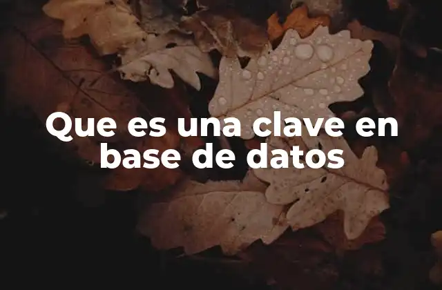 Que es una Clave en Base de Datos