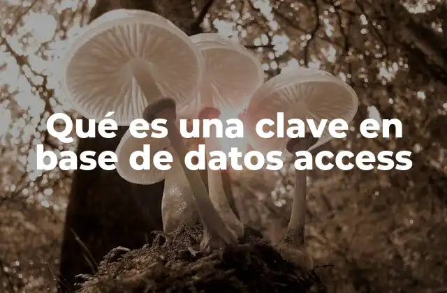 Qué es una Clave en Base de Datos Access 2 La importancia de las claves en el diseño de tablas
