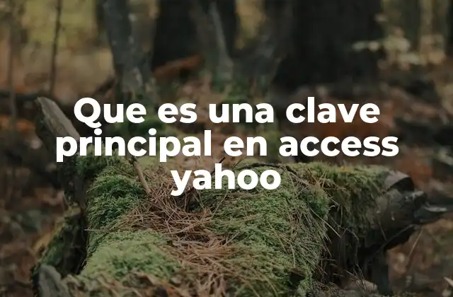 Que es una Clave Principal en Access Yahoo 2 La importancia de estructurar datos con identificadores únicos