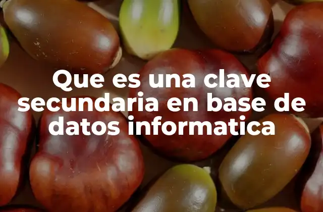 Que es una Clave Secundaria en Base de Datos Informatica