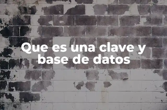 Que es una Clave y Base de Datos