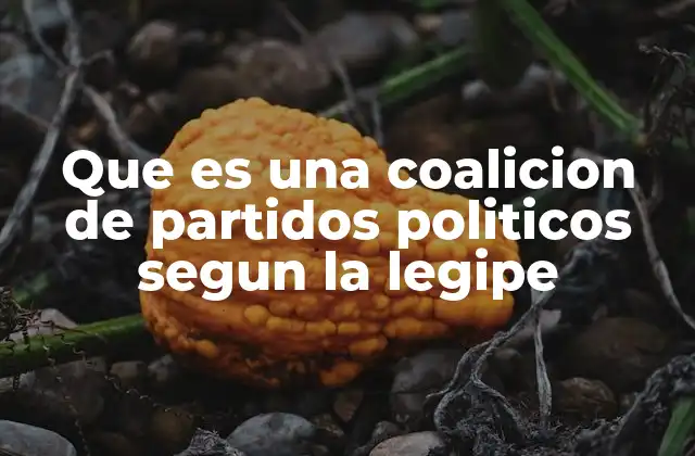 Que es una Coalicion de Partidos Politicos Segun la Legipe